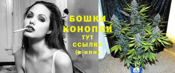 сатива Слюдянка