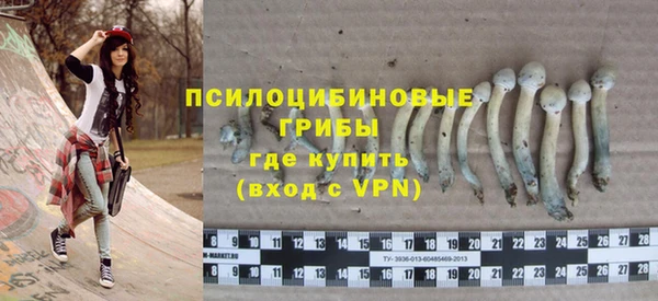 ГАЛЛЮЦИНОГЕННЫЕ ГРИБЫ Белокуриха