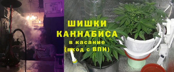 бошки Богданович