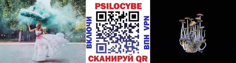 Псилоцибиновые грибы Cubensis  Севск 
