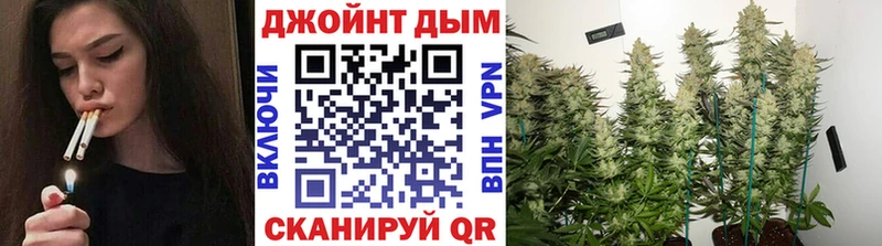 Шишки марихуана сатива Севск
